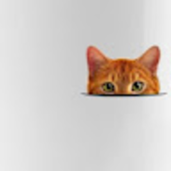 deecatmom